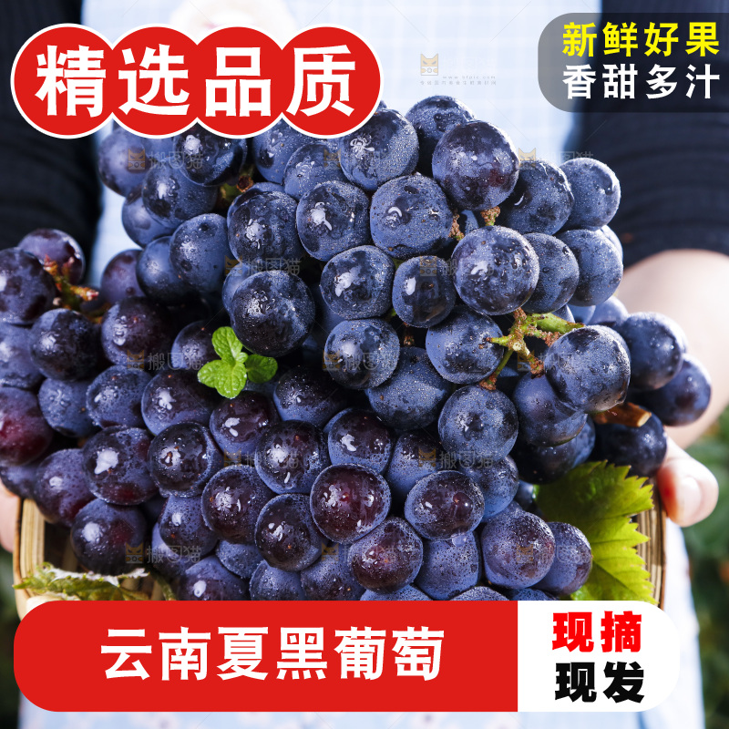 手里拿着一篮夏黑葡萄