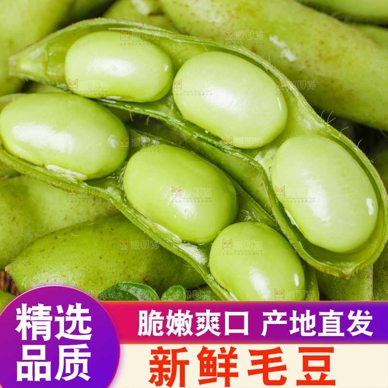 木底上摆放着毛豆