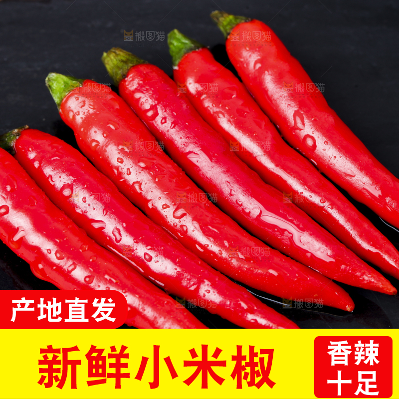 黑底上摆放着指天椒