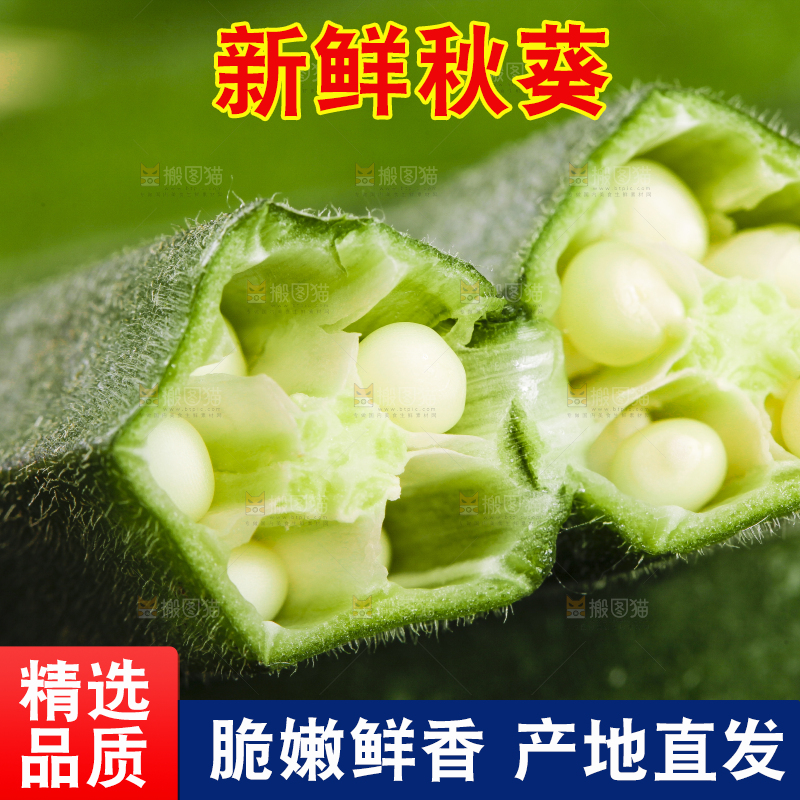 篮子里装着鲜嫩秋葵