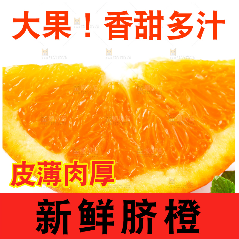 白底上放着新鲜伦晚脐橙