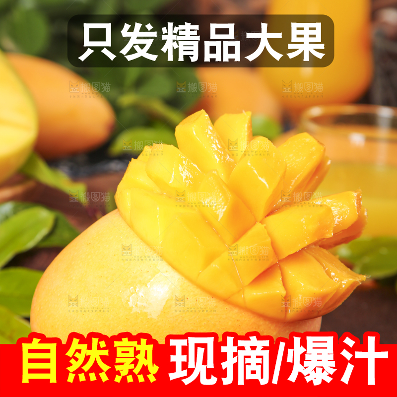 木底上摆放着进口澳芒