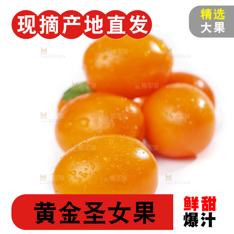 白底上摆放着山东黄金圣女果