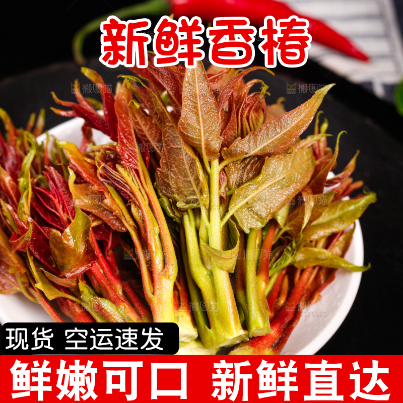 盘子里放着香椿