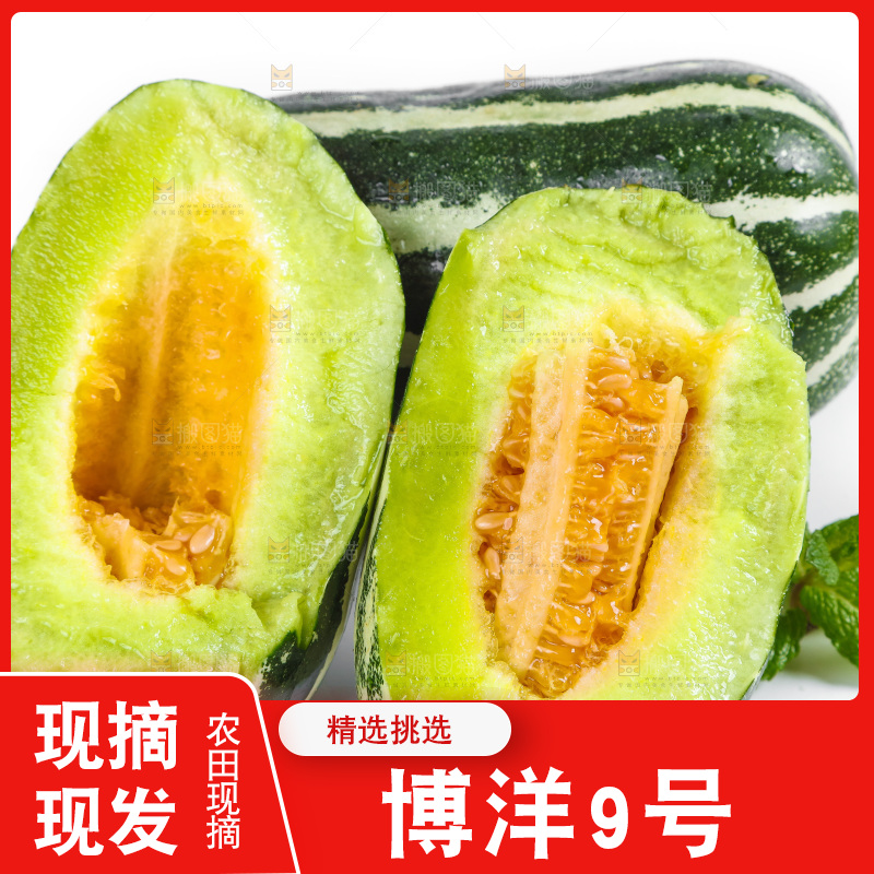 白底上放着山东博洋9号甜瓜