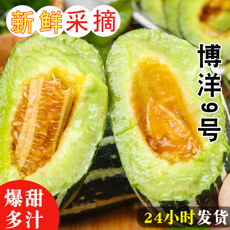 手里拿着美洋甜瓜