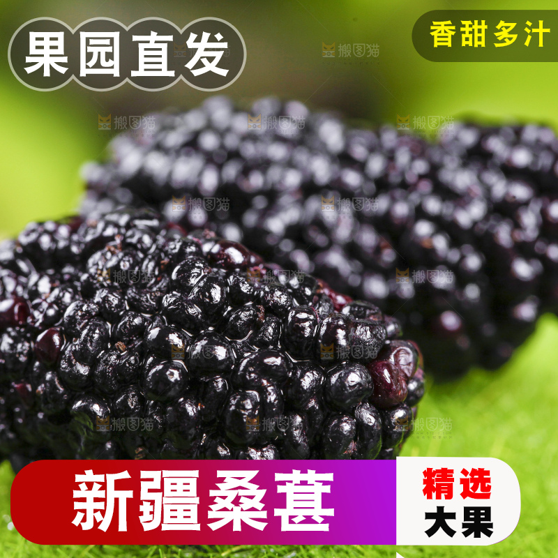 绿草地上摆放着桑葚
