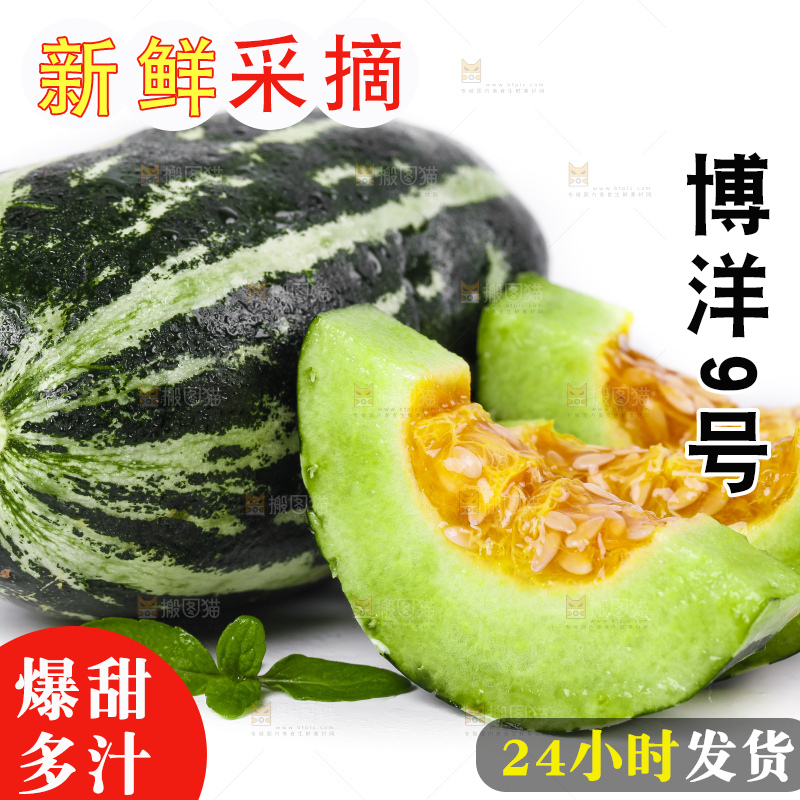 白底上放着博洋甜瓜