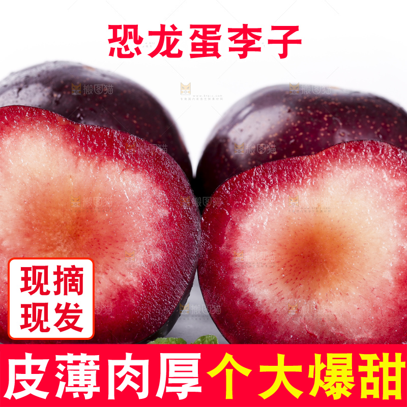 白底上摆放着恐龙蛋