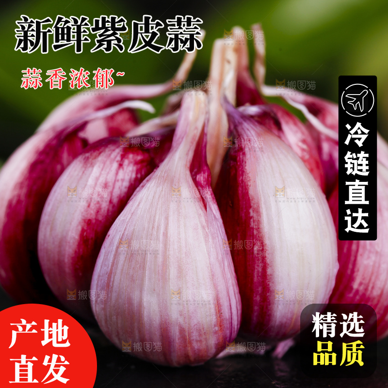 黑底上放着紫皮鲜蒜