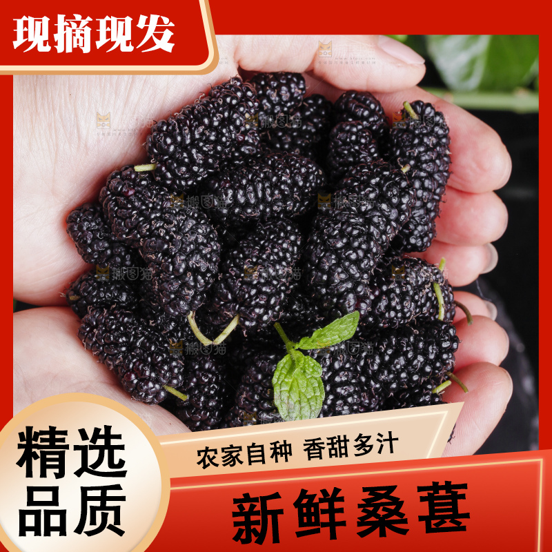 手里捧着一把桑枣