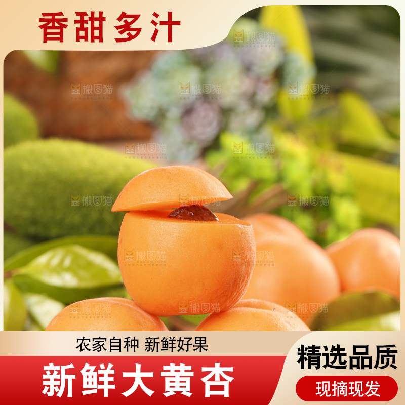 木底上摆放着烟台杏子