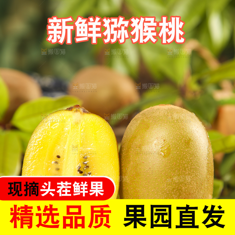 木板上放着陕西黄心猕猴桃
