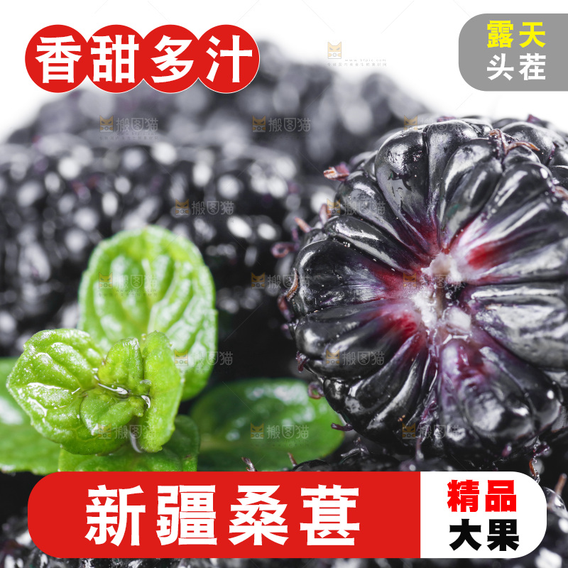 堆放着一堆的野生桑枣