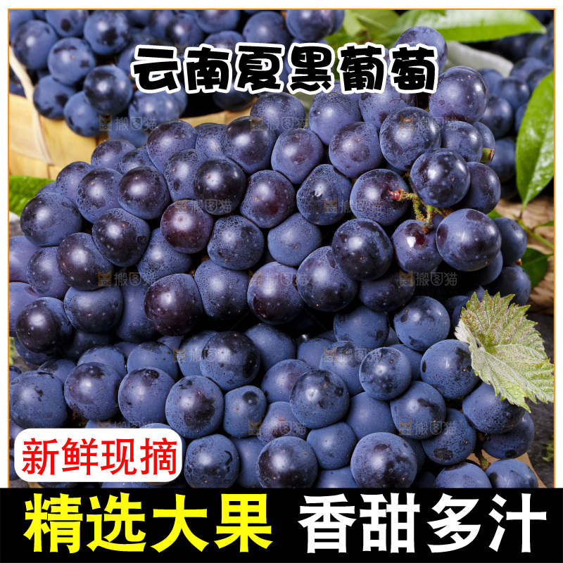 木底上摆放着夏黑无籽葡萄