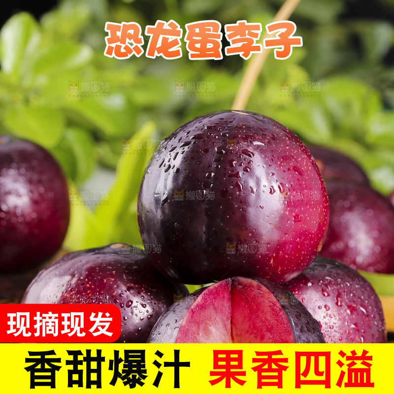 黑底上摆放着恐龙蛋