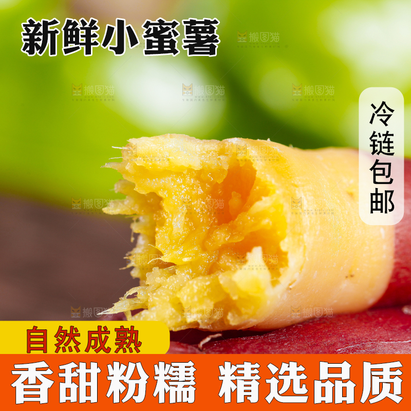 木底上摆放着板栗红薯