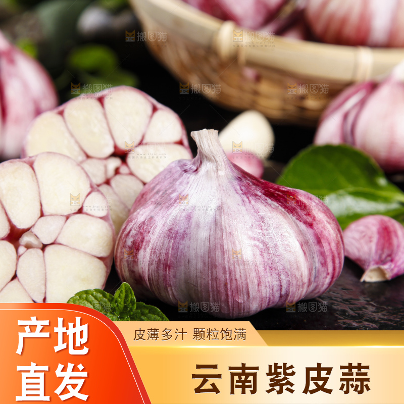 黑底上放着云南紫皮大蒜