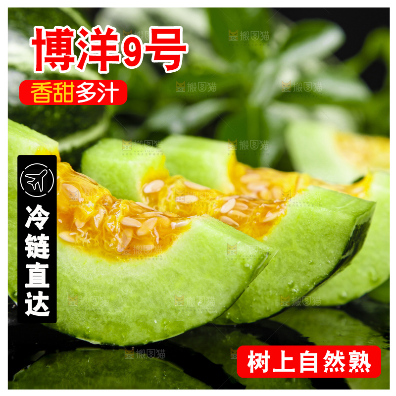 黑底上放着博洋甜瓜