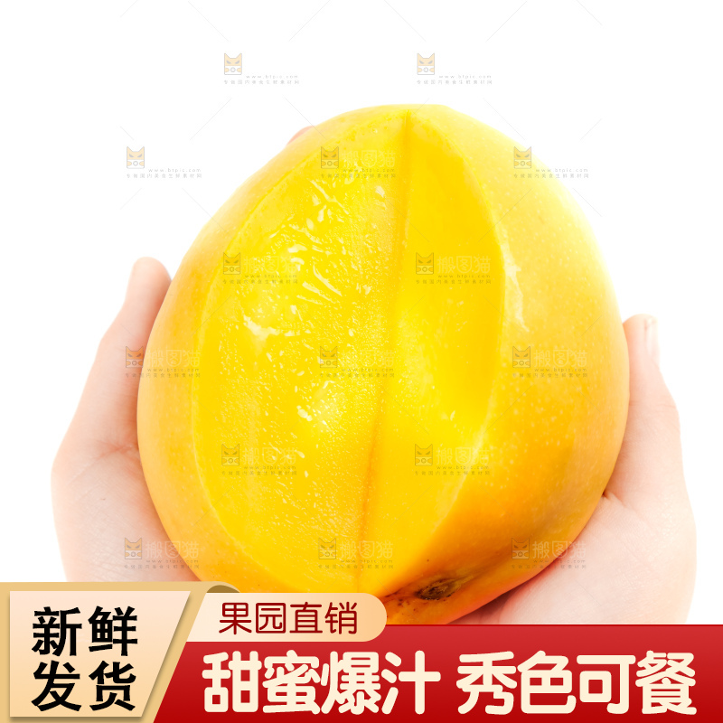 手里拿着甜心芒