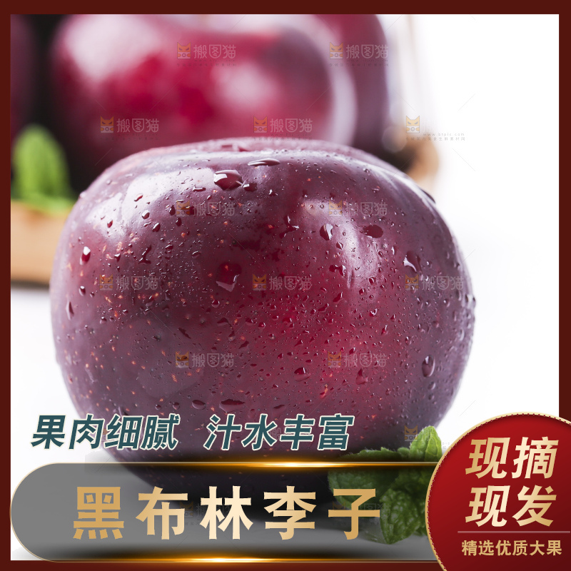 白底上放着黑布林