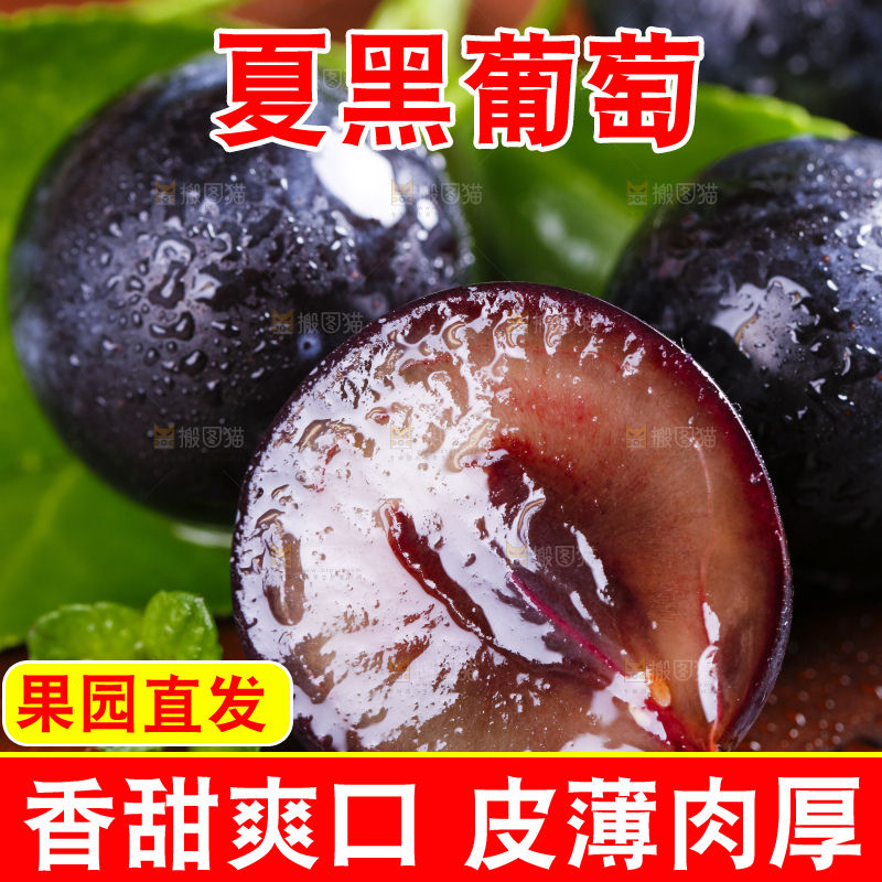 木底上摆放着夏黑葡萄