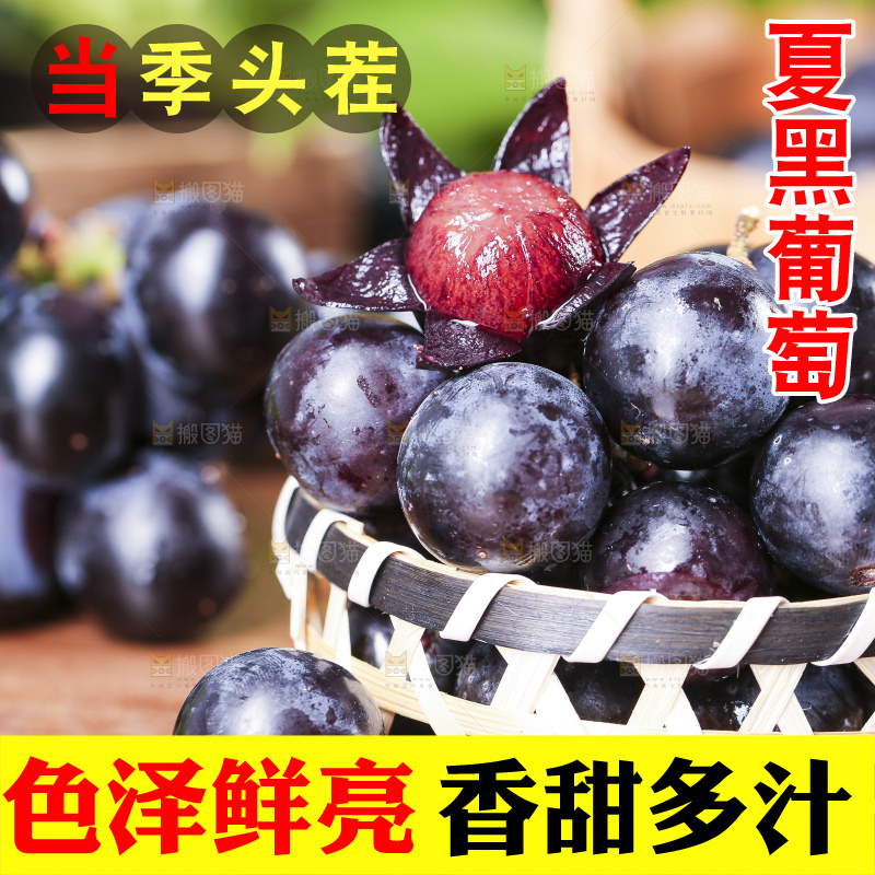 篮子里装着夏黑葡萄