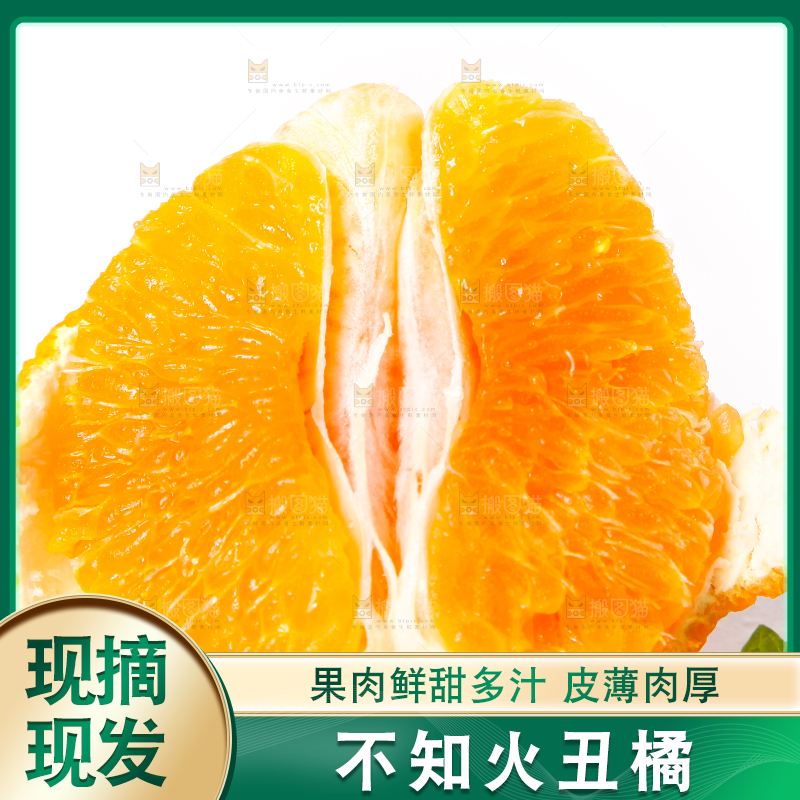 白底上摆放着丑柑