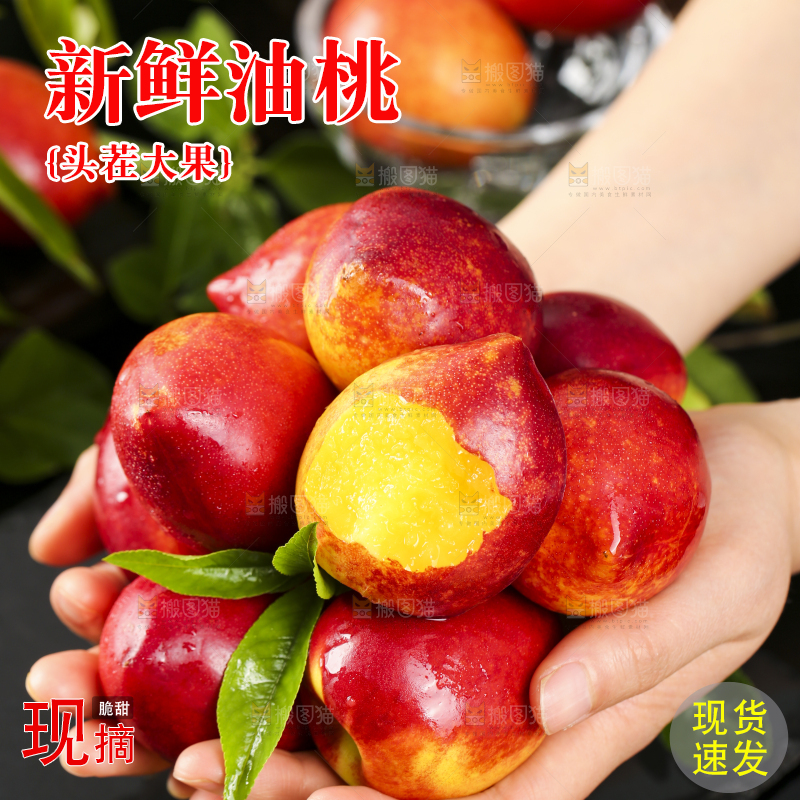 手里捧着大连油桃