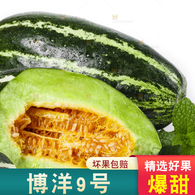白底上放着博洋蜜脆甜瓜