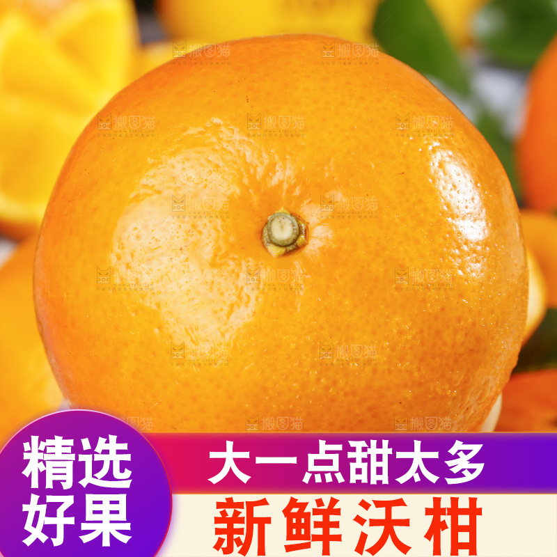 手里拿着沃桔