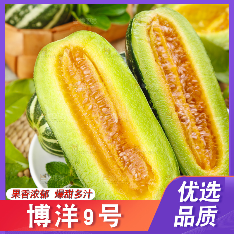 盘子里装着新鲜博洋9号甜瓜