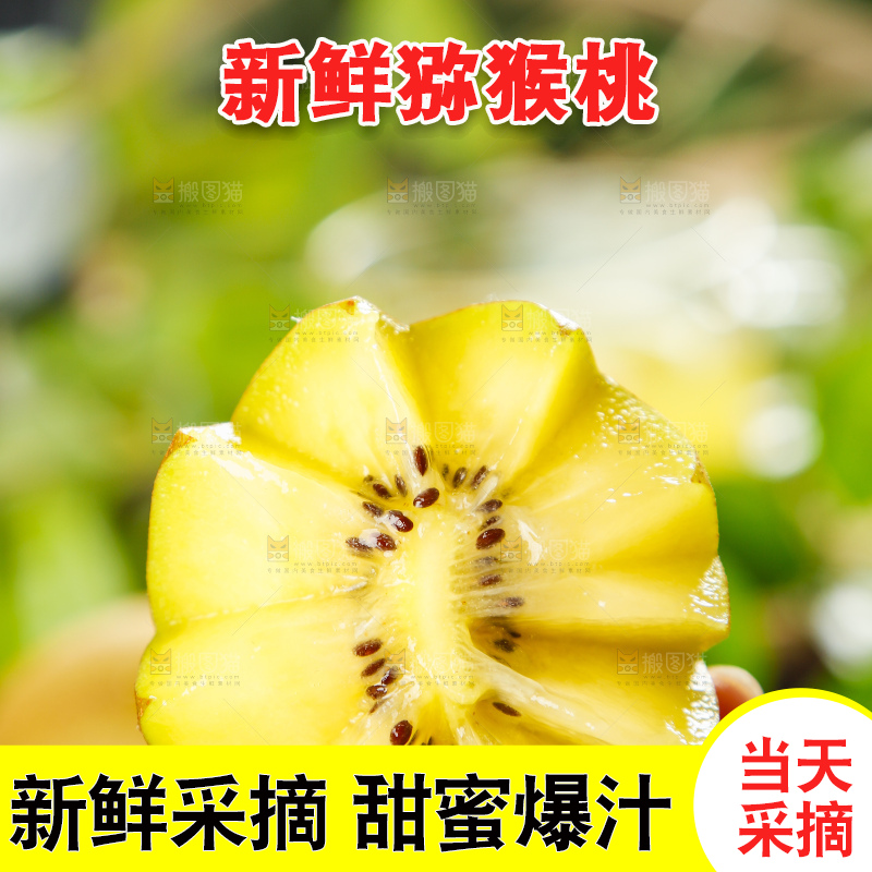 手里拿着黄心猕猴桃