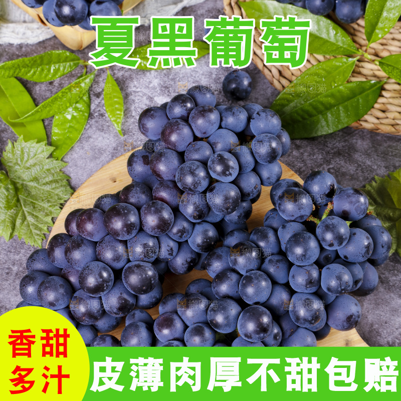 木底上摆放着夏黑无籽葡萄