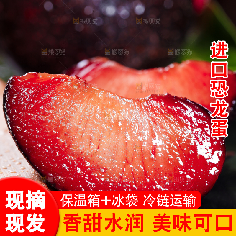 黑底上摆放着智利进口恐龙蛋