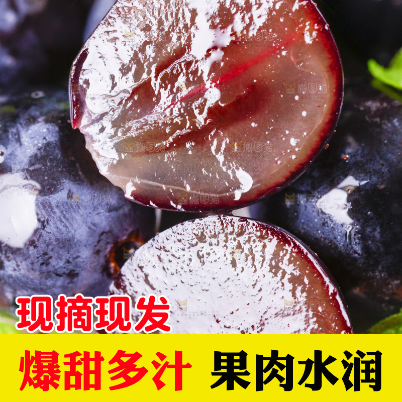 白底上放着紫葡萄