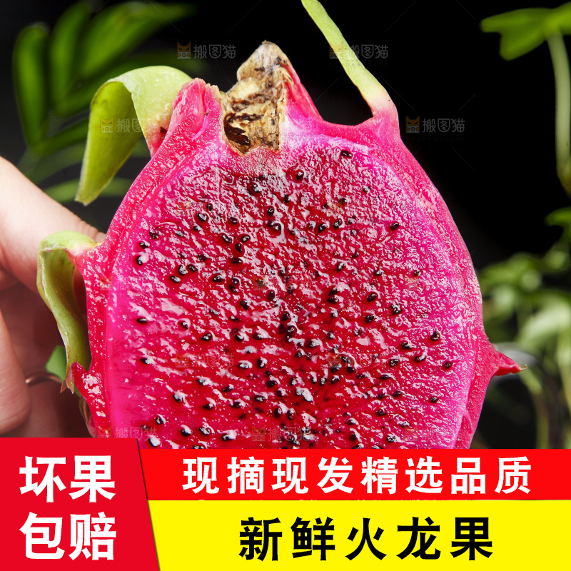 手里拿着切开的火龙果