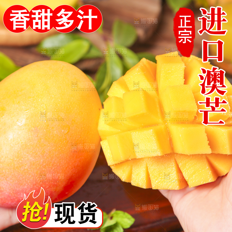 手里拿着澳芒