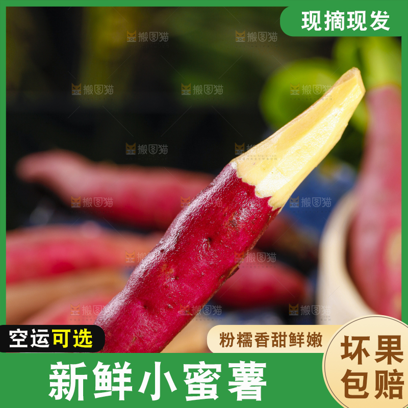 手里拿着沙地蜜薯 