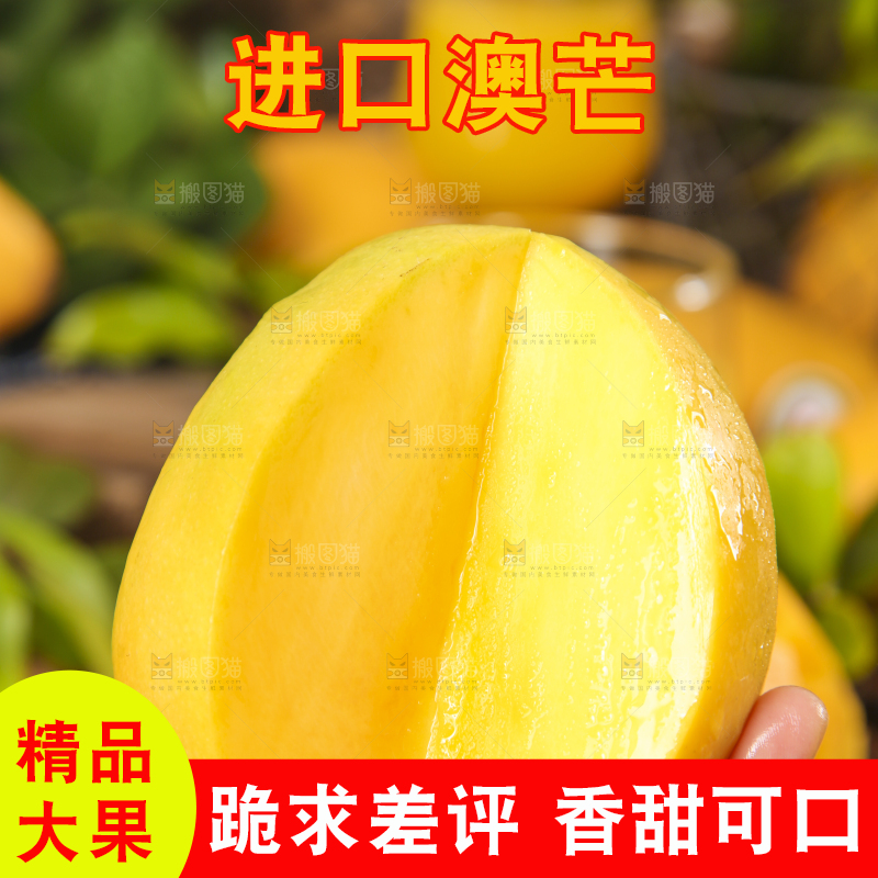 手里拿着澳芒