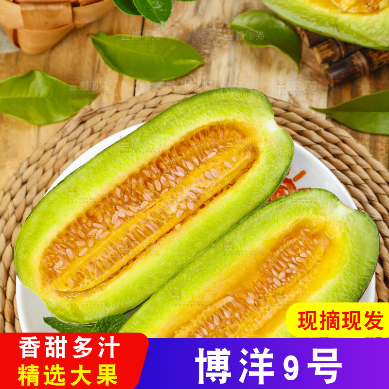 盘子里装着新鲜博洋9号甜瓜
