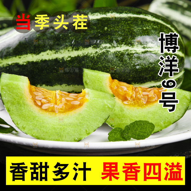 盘子里装着山东博洋9号甜瓜