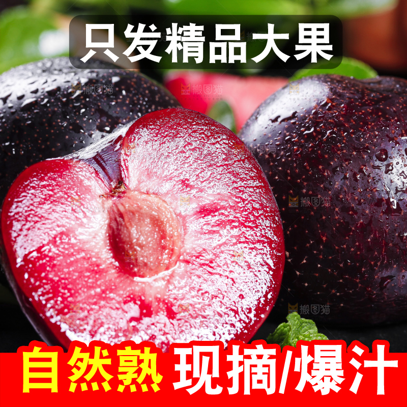 黑底上摆放着智利进口恐龙蛋
