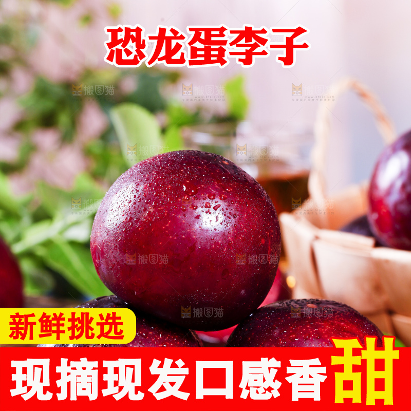 黑底上摆放着恐龙蛋李
