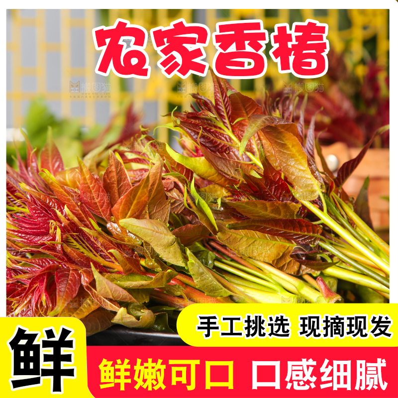 盘子里放着香椿
