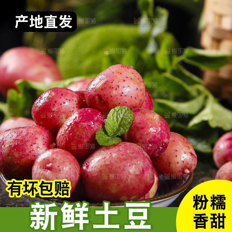 深底上摆放着红皮小土豆