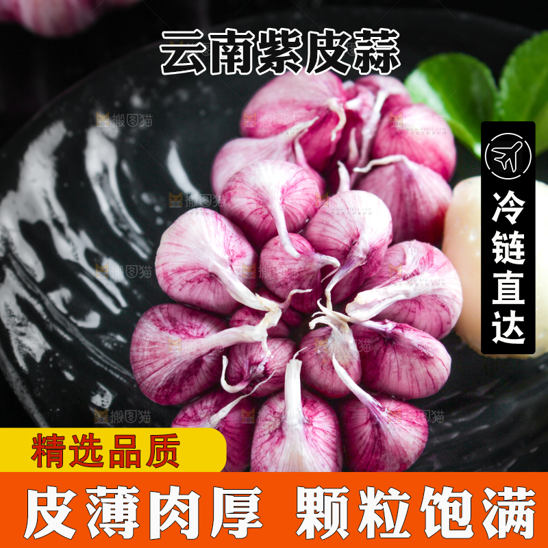深底上摆放着紫皮多瓣蒜