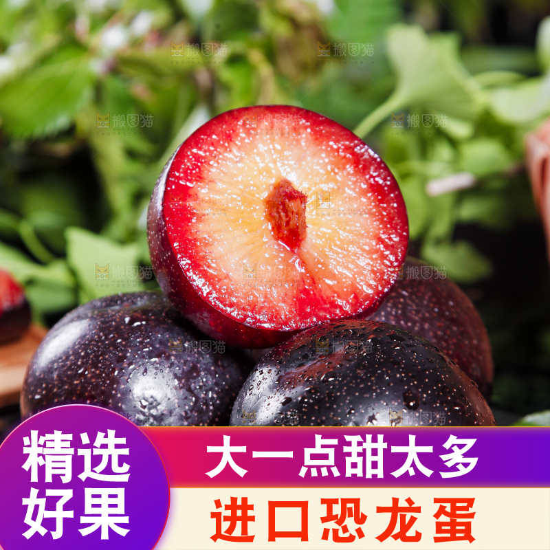 深底上摆放着恐龙蛋李
