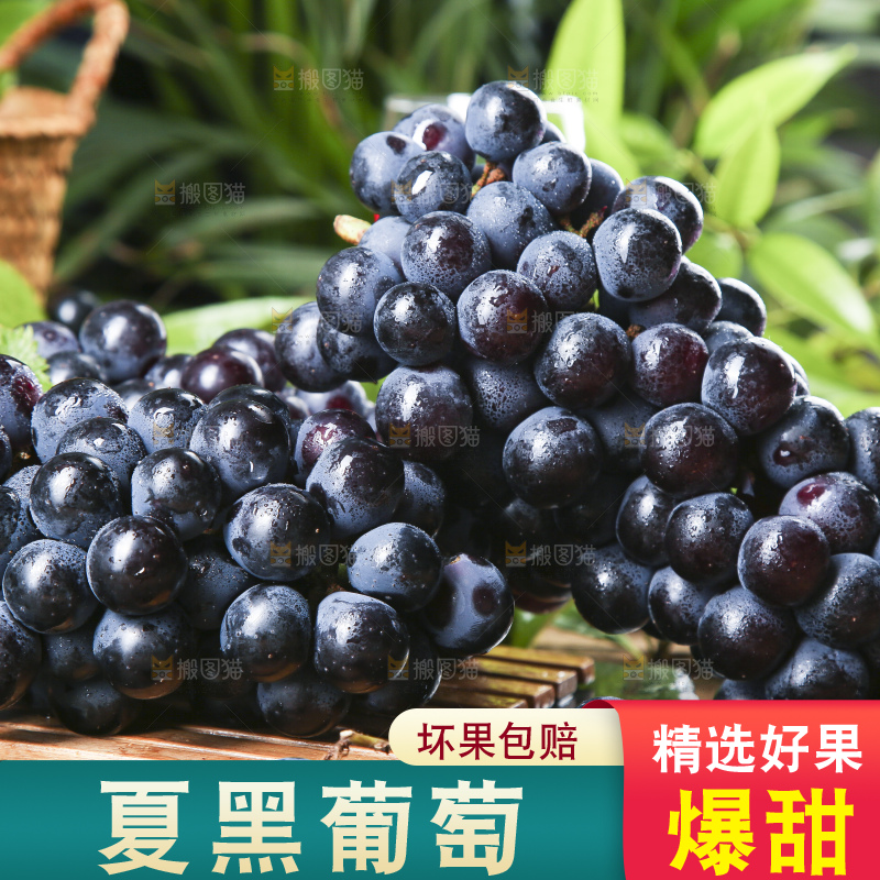 木底上放着云南夏黑葡萄