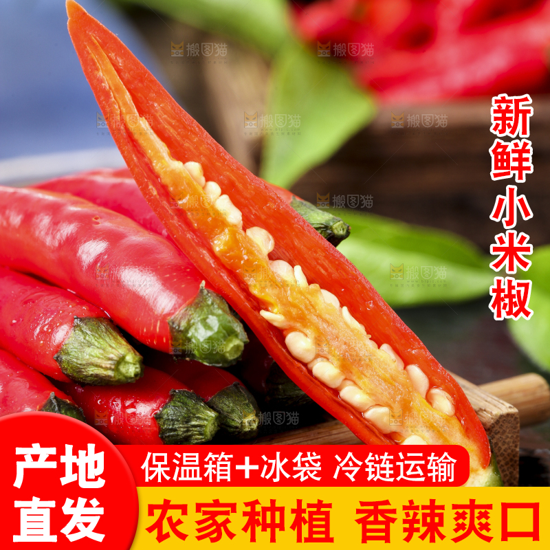 木底上摆放着小尖椒